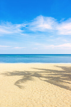 sandy beach with shade from palm trees and footprints on the ocean shore