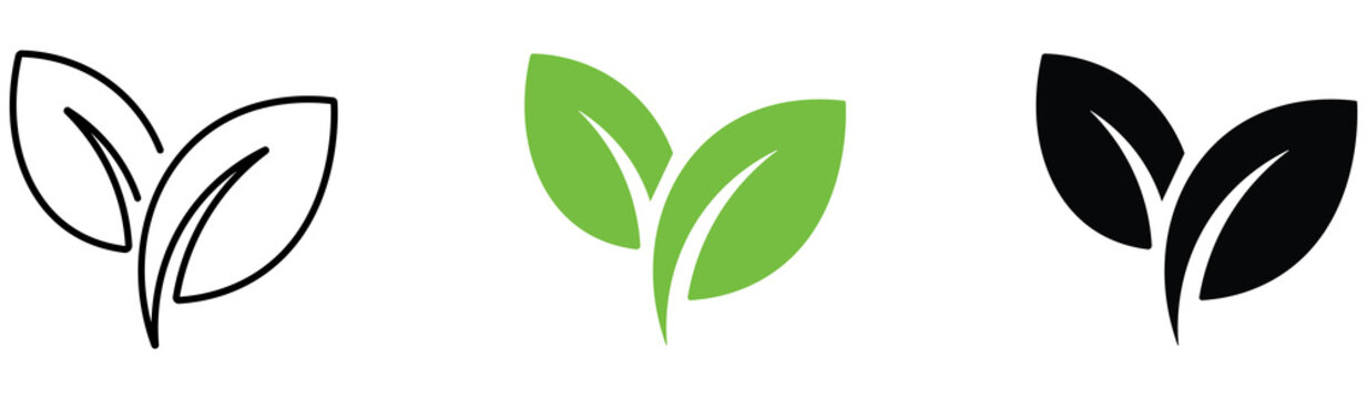Leaf sprout icon vector set, green leaves plant eco logo symbol simple graphic illustration set, vegan fresh herb pictogram shape sign, organic natural healthy logotype png