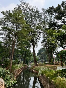 A narrow, tranquil stream flowing through Taman Bendera Pusaka, a public park in Jakarta, enclosed by low stone retaining walls with lush green grass and tufts of decorative white fountain grass.