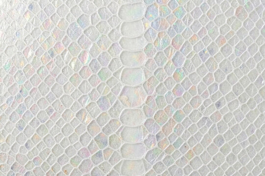 Molted Translucent Snake Shed Skin Matrix Texture Background