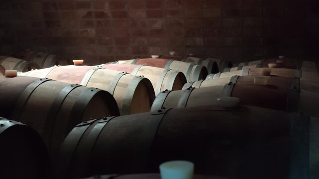 Dim lighting illuminates rows of wooden oak barrels aging wine inside a traditional brick cellar.