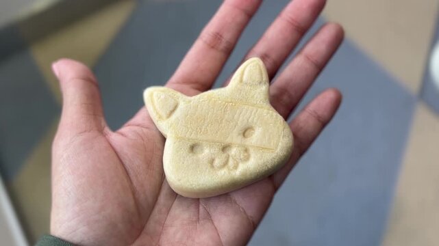 Japanese Cute Cat Shaped Cookie