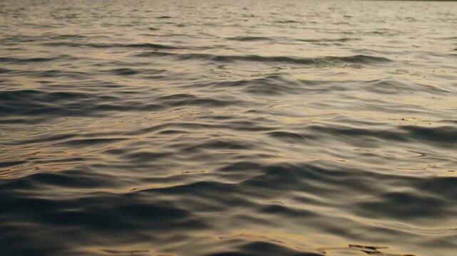 Gentle ripples on a tranquil lake surface beautifully mirror the warm sunset hues, creating abstract gold reflections. Captured at golden hour, perfect for peaceful nature backgrounds.