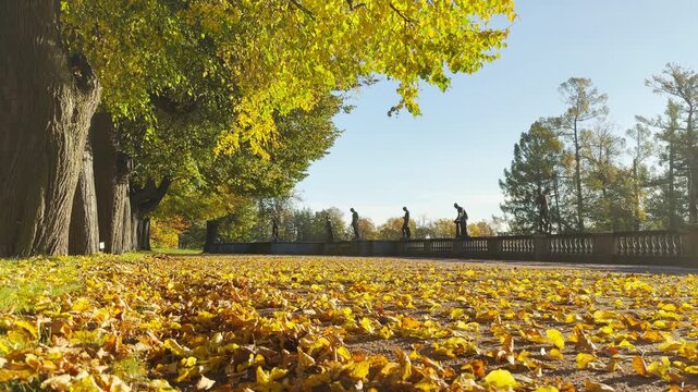 Golden autumn leaves drift in slow motion across the path by the Granite Terrace in Catherine Park, Pushkin, Saint Petersburg. This serene scene evokes calm, nostalgic feelings.