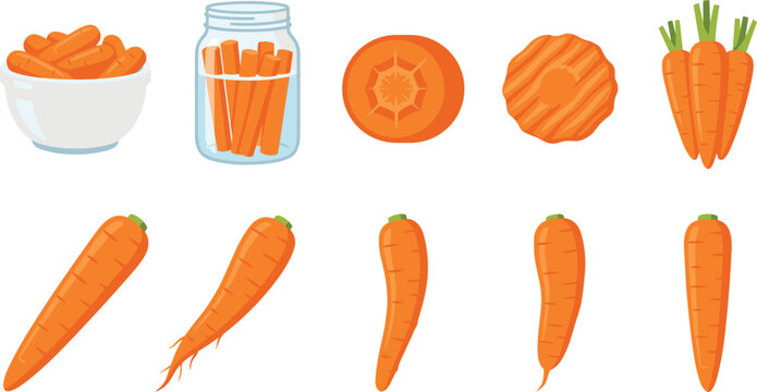 Fresh Organic Carrot Vegetable Slices Sticks in Jar and Whole Healthy Root Crop Vector Clipart Set