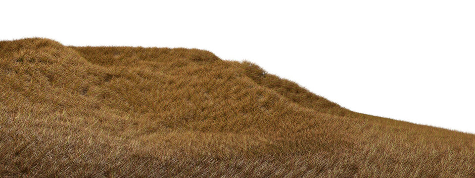 Dried grass fields barren terrain cutout transparent backgrounds 3d rendering png