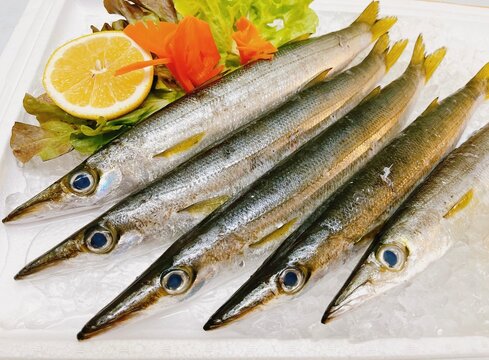 Fresh raw needlefish on ice with lemon and vegetables, top view.