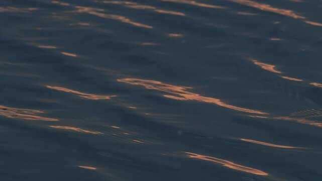 Golden sunset light reflecting and sparkling on gentle blue water ripples, warm shimmering path across calm river surface, tranquil evening footage