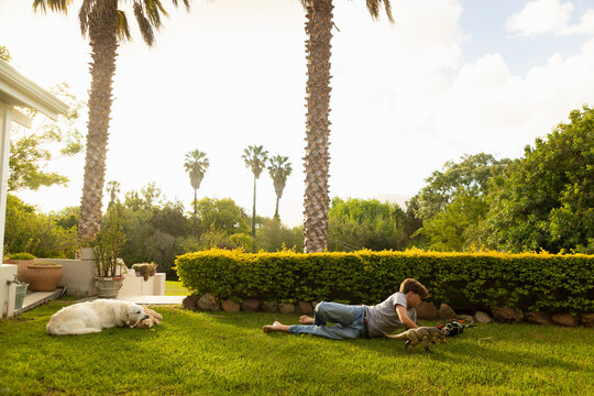early teen boy lying down on lawn playing with dinosaur toys at sunset