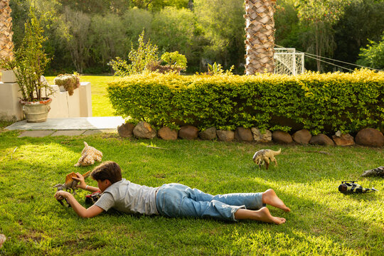 early teen boy lying down on lawn playing with dinosaur toys at sunset