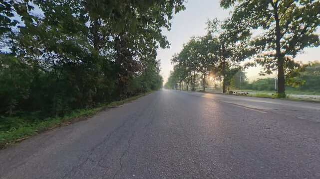 Cyclist POV riding on a quiet rural road lined with trees during golden hour, with warm sunlight and a peaceful countryside atmosphere.
