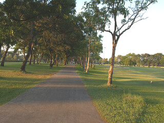 Naklejka premium Paved Pathway Winding Through Lush Green Park with Trees