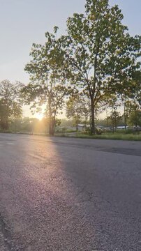 Vertical footage of a quiet rural road lined with trees, illuminated by warm golden hour sunlight and soft shadows, creating a peaceful countryside landscape.