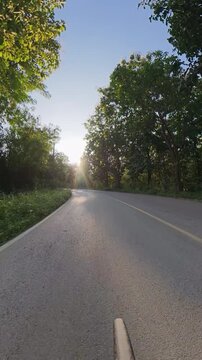 Vertical cycling POV on a quiet road through lush green trees, with warm golden hour sunlight filtering through the forest and creating a peaceful outdoor scene.