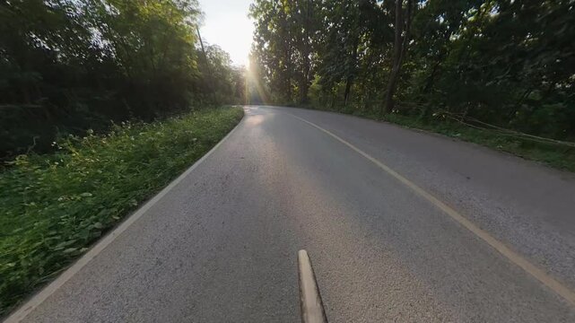Cyclist POV riding along a quiet forest road surrounded by lush green vegetation, with warm golden hour sunlight filtering through the trees.