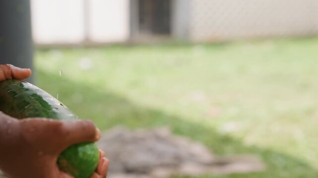 Pair of hands holds elongated cucumber or zucchini while it is being washed under running water. vegetable green skin glistens with droplets and background shows blurred grassy area
