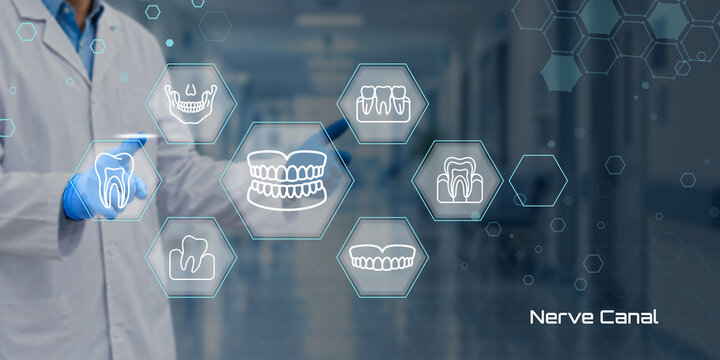 Medical professional using digital interface with dental icons and nerve canal concept for healthcare technology and dentistry services