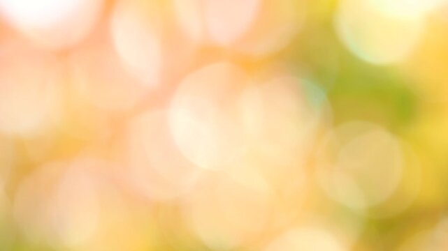 秋色の木漏れ日のゆらゆら揺らぐスローモーション。やわらかい光のボケの揺らぎ。あたたかい色合い。穏やかな秋の光の風景。