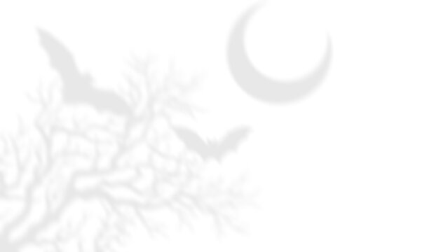 Moon tree shadow, bat branches spooky night PNG
