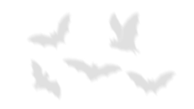Flying bat shadow, spooky winged halloween creature silhouette PNG