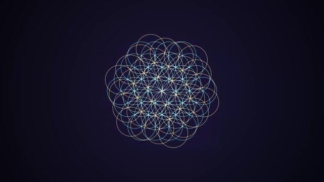 Fractal Flower Geometric Network Patterns