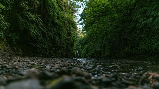 Lush Green Gorge with Stream and Distant Waterfall