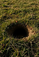 Fototapeta premium Mystery and unknown concept, deep dark hole in the ground surrounded by green grass in a meadow, metaphor for danger or hidden secrets in nature