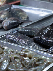 Fresh Whole Tilapia and Raw Shrimp Displayed on Metal Trays © blueringmedia