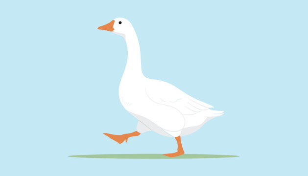White goose walking across a green patch of grass under a clear blue sky, illustrated in a simple vector cartoon style.