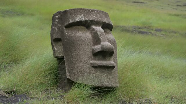 Grass moving at a stone head