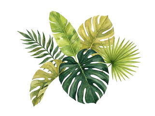 Watercolor Tropical Leaves Arrangement Isolated on White © Supardi