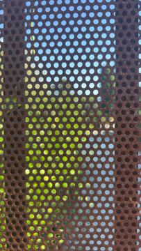 Rusty perforated metal sheet with round holes in warm sunlight