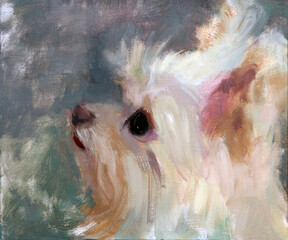 Ritratto artistico espressivo di un piccolo cane maltese o yorkshire bianco di profilo, dipinto ad olio in stile espressionista su sfondo grigio © Ilarialapreziosa