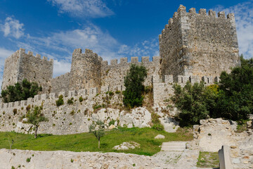Medieval stone castle with crenellated walls and towers rises above a grassy slope with olive trees in Montemor o Velho, Portugal. Heritage tourism and medieval military architecture. © Renata