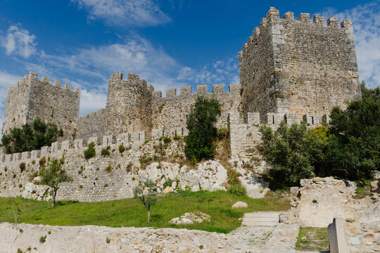 Medieval stone castle with crenellated walls and towers rises above a grassy slope with olive trees in Montemor o Velho, Portugal. Heritage tourism and medieval military architecture.