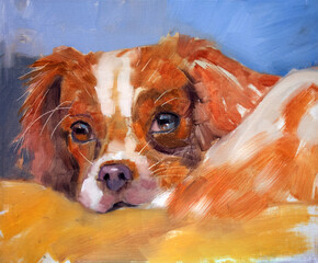 Ritratto artistico espressivo di un cane Cavalier King Charles Spaniel bianco e arancione sdraiato, dipinto ad olio in stile espressionista su sfondo azzurro © Ilarialapreziosa