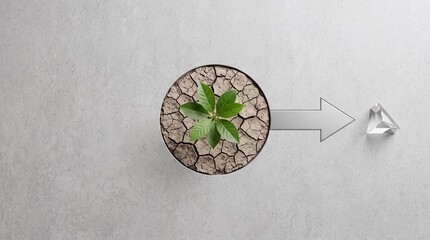 Fototapeta premium Minimalist conceptual image of a green plant sprout growing in parched cracked earth inside a circular frame with an arrow pointing toward a glass pyramid, representing sustainable growth and vision