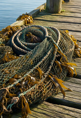 Fototapeta premium Sustainable fishing and marine conservation, tangled fishing net with seaweed on a weathered wooden pier at the ocean coast for maritime industry
