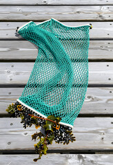 Fototapeta premium Marine pollution and ocean conservation, green fishing net with seaweed and plastic debris on wooden dock environmental waste and ecology