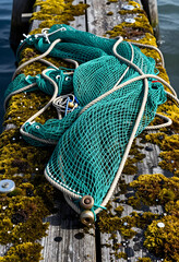 Fototapeta premium Sustainable fishing and marine conservation, green fishing net resting on a weathered wooden pier covered in moss by the ocean water for industry
