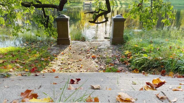 Stone stairs lead down to a calm pond in Catherine Park, Pushkin, Saint Petersburg. In slow motion, fallen autumn leaves drift by, creating a peaceful and serene feeling.