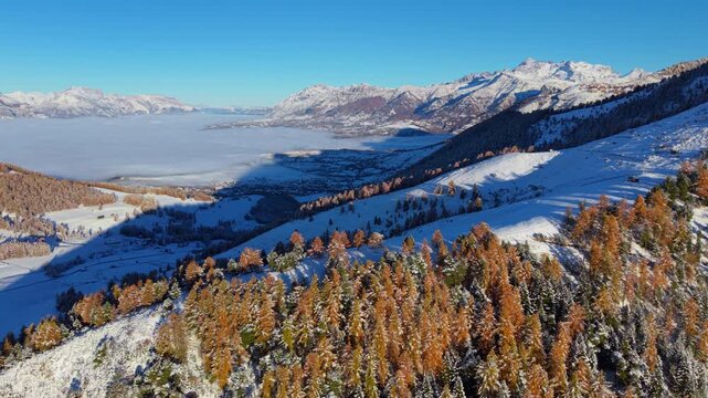 Aerial view of Champsaur Valley with snow-covered slopes, golden larches and Ancelle village emerging from morning fog in winter. Hautes-Alpes, France