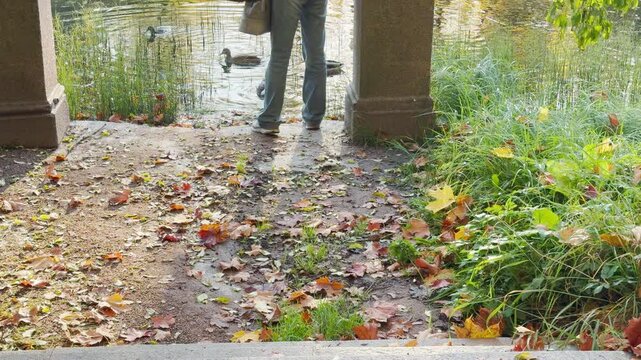A person stands by a calm pond watching ducks in Pushkin, Saint Petersburg. Fallen autumn leaves cover the ground around stone pillars. This creates a peaceful, serene, and relaxing feeling.