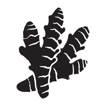 Ginger root isolated icon silhouette vector art illustration on white background