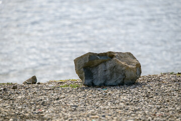 A large weathered boulder rests on a pebbled shoreline, surrounded by natural elements © Mirko