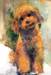 Ritratto artistico di cane Barboncino Toy color albicocca seduto, dipinto ad olio in stile espressionista e impressionista con colori caldi su tela © Ilarialapreziosa