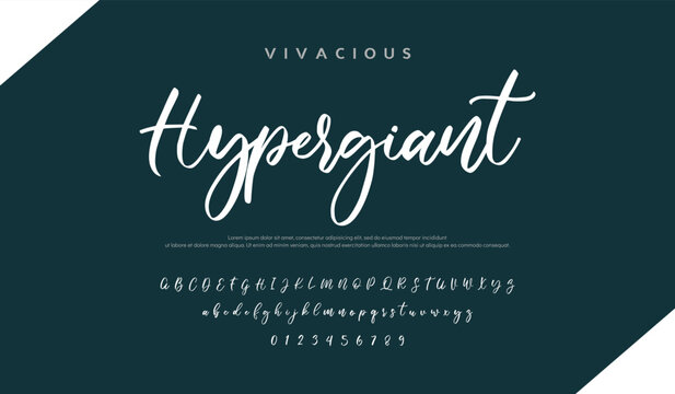 Hand drawn vector alphabet. Modern monoline signature script font. Elegant Signature Font. Best Alphabet Beautiful Calligraphy Signature Font
