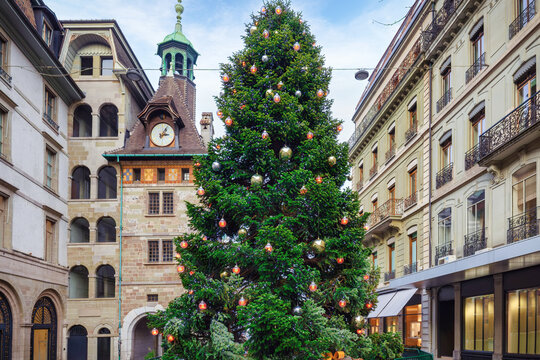 A festively decorated Christmas tree in the old town of Geneva, Switzerland