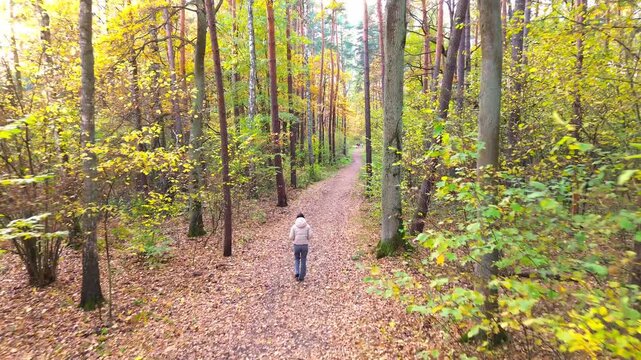 Young woman walking along leaf-covered path in a vibrant autumn forest, showcasing the natural beauty and tranquility of the scene, with a smooth camera follow movement enhancing the experience