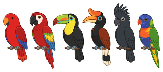Fototapeta premium A collection of six colorful tropical birds including parrots and a toucan.